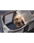 Dog carriers & bags